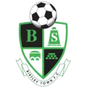 Birtley Town