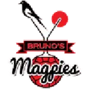 Magpies