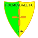 Holmesdale Logo