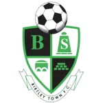 Birtley Town Logo