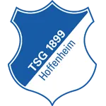 1899 Hoffenheim Logo