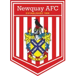 Newquay Logo