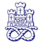 Newcastle Town Logo