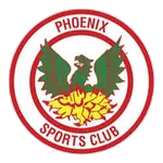 Phoenix Sports Logo