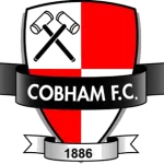 Cobham Logo
