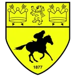 Newmarket Town Logo