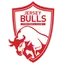 Jersey Bulls