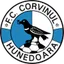 Corvinul Hunedoara