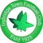 Ivybridge Town