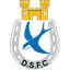 Dungannon Swifts