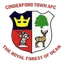 Cinderford Town