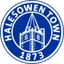 Halesowen Town