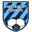 Shaftesbury Town