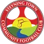 Steyning Town